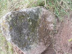 Tombstone 112_1201