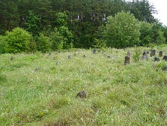 Tombstone DSC00673